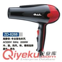 電吹風(fēng),電吹風(fēng)批發(fā),電風(fēng)吹供應(yīng)商,揭陽(yáng)正迪電吹風(fēng)廠