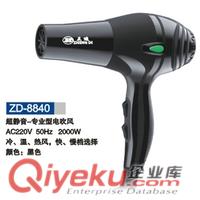 揭陽(yáng)電吹風(fēng),揭陽(yáng)電吹風(fēng)廠,揭陽(yáng)電吹風(fēng)公司,正迪電吹風(fēng)廠
