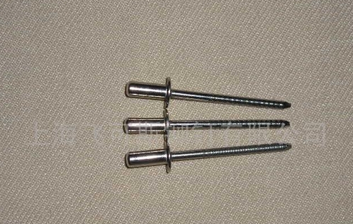 封閉型抽芯鉚釘 全不銹鋼抽芯拉絲鉚釘 海馬釘原始圖片2