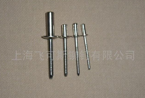 封閉型抽芯鉚釘 全不銹鋼抽芯拉絲鉚釘 海馬釘原始圖片3