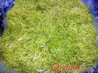 茶葉微波殺青機
