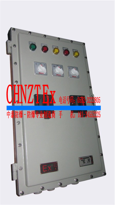 防爆控制配電箱原始圖片2