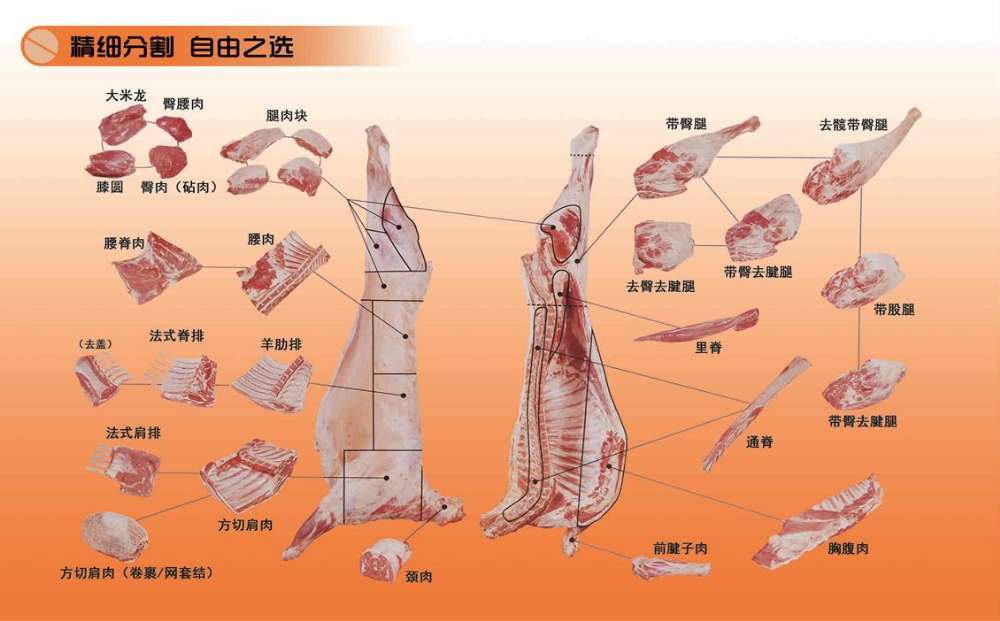 "蒙澤"特級羊腿片 呼倫貝爾大草原 帶骨羊肉 燒烤佳品