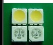 貼片LED5050燈珠LED5050正白5050LED暖白