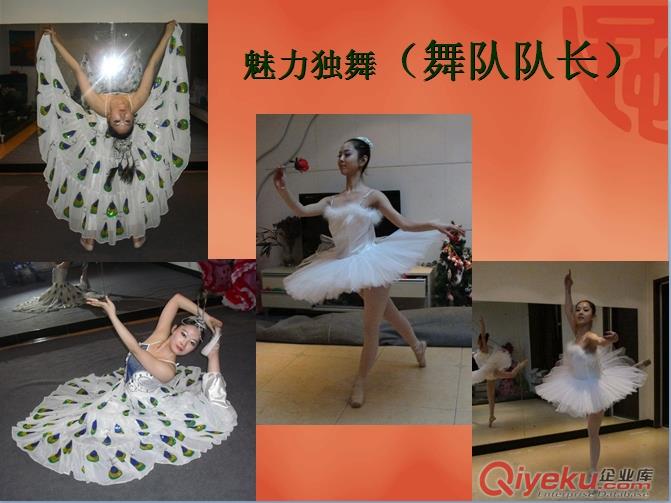演出  主持、舞蹈、樂(lè)隊(duì)、模特