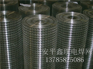 安平縣鑫璞絲網(wǎng)制品有限公司低價供應荷蘭網(wǎng) 護欄網(wǎng) 電焊網(wǎng)