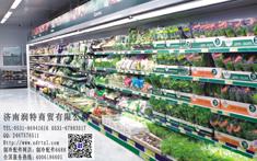 果蔬柜 冷藏柜 冷凍柜 飲料柜 啤酒柜 風(fēng)幕柜 奶制品柜 肉制品柜 玻璃立柜 冷凍立柜 角柜立柜 半高立柜 冷藏立柜 飲品柜