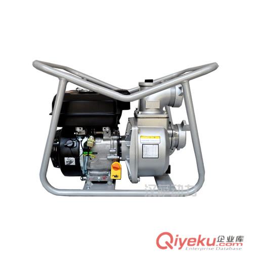  家庭急用單相汽油發電機