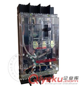 DZ15-40/290透明外殼斷路器