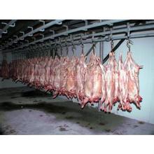 上海鑫福銷售兔肉 羊肚 牛排 豬肚 鳳爪 鴨腿 鴨翅 鴨肉 雞肉 雞爪原始圖片2