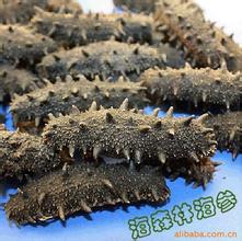 上海鑫福銷售兔肉 羊肚 牛排 豬肚 鳳爪 鴨腿 鴨翅 鴨肉 雞肉 雞爪原始圖片3