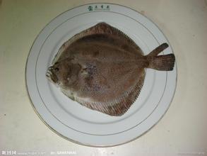 上海鑫福銷售鵝肉 雞爪 雞翅 雞腿 雞肉 鴨肉 鴨脖 鴨胗 羊肉 牛筋 豬排 多寶魚原始圖片3