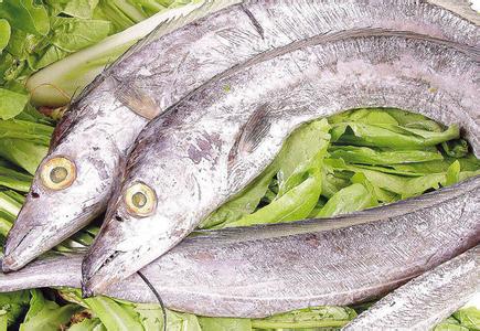 佛山市 鳳爪 羔羊排卷 黃瓜魚 帶魚 農(nóng)貿(mào)市場