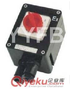 FHZ69系列防爆防腐轉(zhuǎn)換開(kāi)關(guān)