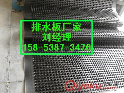 牡丹江）排水板生產(chǎn)廠家/HDPE排疏板價格原始圖片2