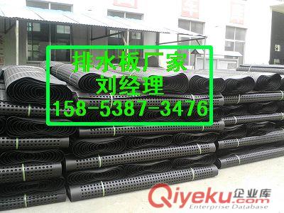 牡丹江）排水板生產(chǎn)廠家/HDPE排疏板價格原始圖片3