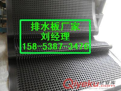供應{亳州}地下室疏水板_車庫濾水板_塑料排水板原始圖片2