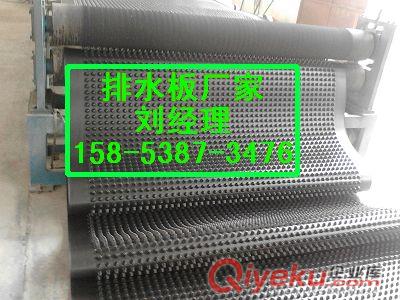 專業(yè)供應(yīng)（信陽）屋頂綠化阻根層&塑料夾層板原始圖片2