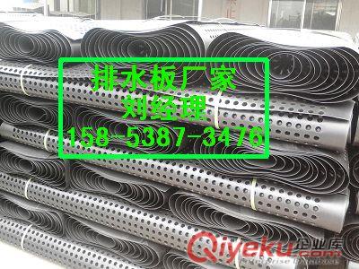 專業(yè)供應(yīng)（信陽）屋頂綠化阻根層&塑料夾層板原始圖片3