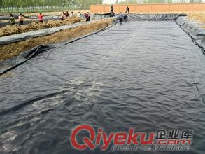 運城地下室排水板/蓄排水板廠家15853873476