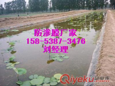 供應永州}屋面種植濾水板_綠色蓄排水板_地下室滲水板