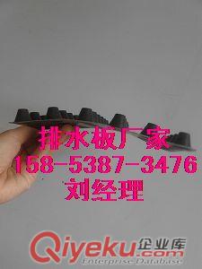供應永州}屋面種植濾水板_綠色蓄排水板_地下室滲水板原始圖片2