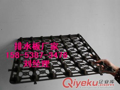 供應{雅安}車庫綠化疏水板+2公分排水板價格+塑料隔根層