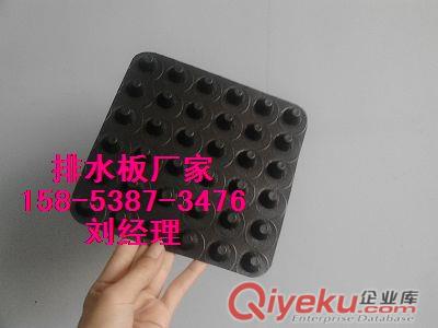 供應{雅安}車庫綠化疏水板+2公分排水板價格+塑料隔根層原始圖片2