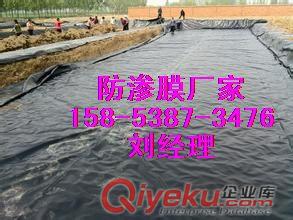 廠價直銷『紹興』淺水藕池防滲膜+水產(chǎn)養(yǎng)殖膜+黑色PE膜價格原始圖片3