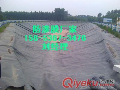供應(yīng)<荊門>耐穿刺藕池膜&水產(chǎn)膜價格%防滲膜批發(fā)原始圖片3