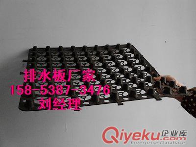 專業(yè)供應(yīng)】常德車庫透水板&2公分濾水板/蓄排水板