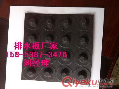 供應(yīng)宜昌【16mm】塑料排水板￥綠化排水隔根板原始圖片3
