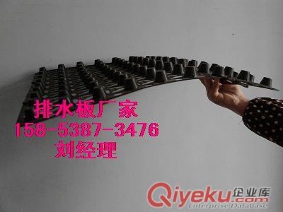 [供應(yīng)]河源水產(chǎn)養(yǎng)殖膜￥0.4毫米藕池防滲膜