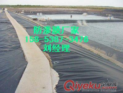 廣安>蓮藕種植防滲膜_養(yǎng)泥鰍專用膜/藕池膜價(jià)格原始圖片3