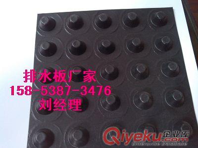 供應(yīng)蘇州（樓頂綠化疏水板）車庫濾水板/塑料排水板廠家原始圖片2