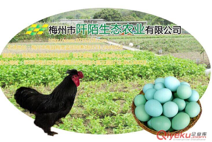 東莞大嶺山雞蛋包裝標簽-東莞大嶺山雞蛋包裝貼紙貼標不干膠印刷