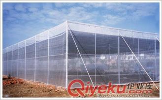 防蟲窗紗|安平縣申暢絲網制品|防蟲窗紗價格原始圖片2