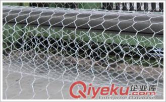 六角網|重型六角網|石籠網箱|雷諾護墊