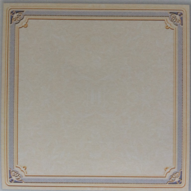 藍(lán)方格300x300