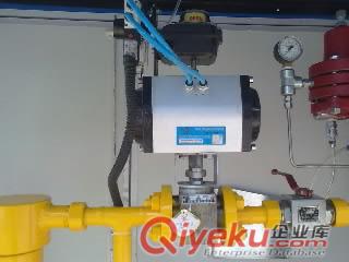 黑龍江1000立方CNG減壓設備