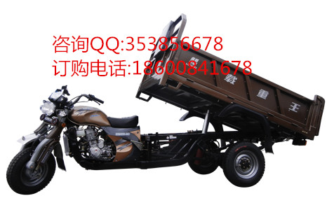 隆鑫三輪摩托車 自卸載重王 正三輪摩托車 農(nóng)用三輪自卸車原始圖片2