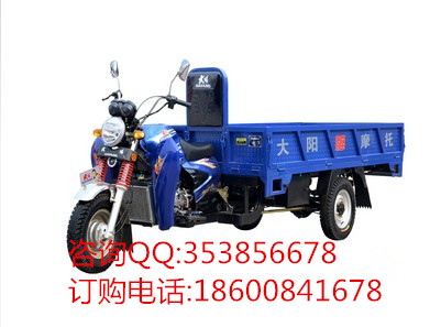 大陽三輪摩托車 凌風DY110ZH-2 正三輪摩托車 農(nóng)用三輪車 貨運三輪車