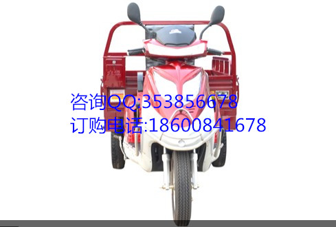 大運(yùn)三輪摩托車 盛鷹110風(fēng)冷 球正三輪摩托車 農(nóng)用三輪摩托車 運(yùn)蔬菜三輪車