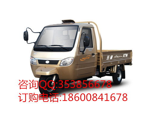 福田五星三輪摩托車 250ZH(JE) 正三輪摩托車 農(nóng)用三輪摩托車 拉貨三輪摩托車 載貨三輪摩托車