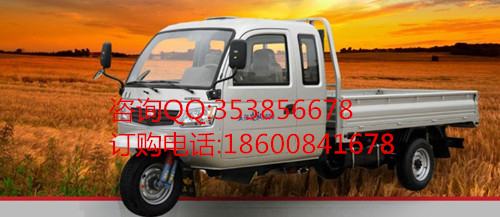 五征凌馭1500排半平板三輪車  農(nóng)用三輪車 貨運(yùn)三輪車 柴油農(nóng)用三輪車