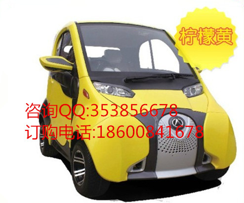 富路 麗馳A01 (雙開(kāi)兩座)電動(dòng)汽車轎車  帶空調(diào)助力豪華汽車 老年人代步車原始圖片2