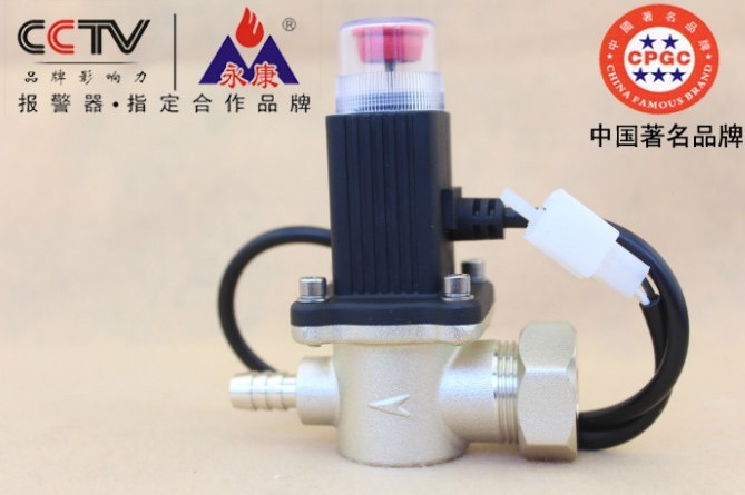 實(shí)力保障燃?xì)鈱Ｓ秒姶砰y