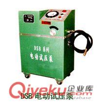 DSY-60電動試壓泵質優