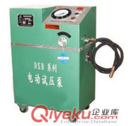 6DSB系列電動試壓泵質優原始圖片2