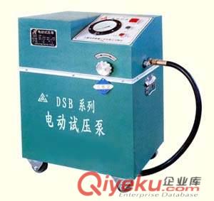 6DSB系列電動試壓泵質優原始圖片3